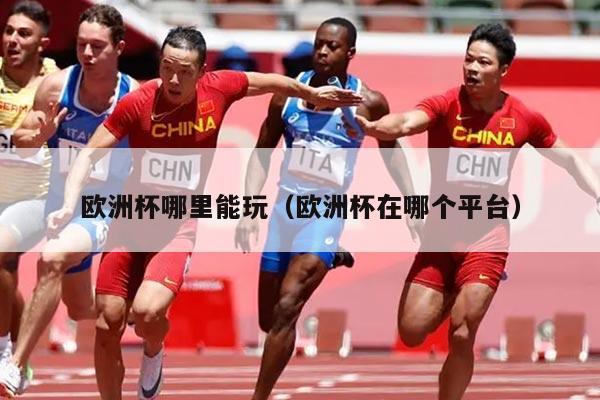 欧洲杯哪里能玩（欧洲杯在哪个平台）