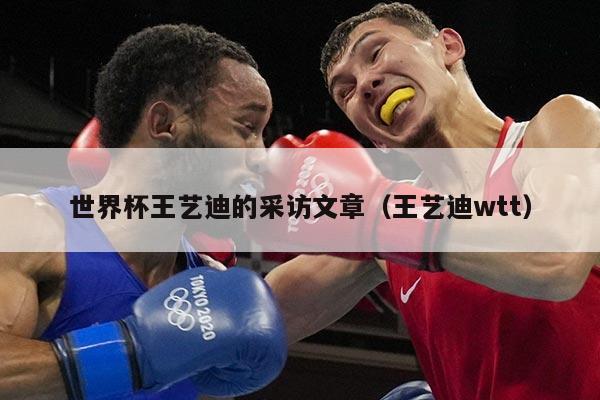 世界杯王艺迪的采访文章（王艺迪wtt）