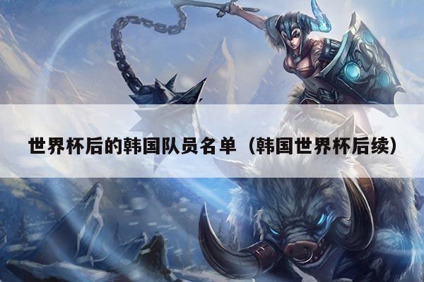 世界杯后的韩国队员名单（韩国世界杯后续）